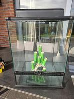 Exo Terra Terrarium 45x45x60 cm, Ophalen, Gebruikt, Terrarium of Paludarium