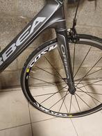 Velo Orbea, Enlèvement