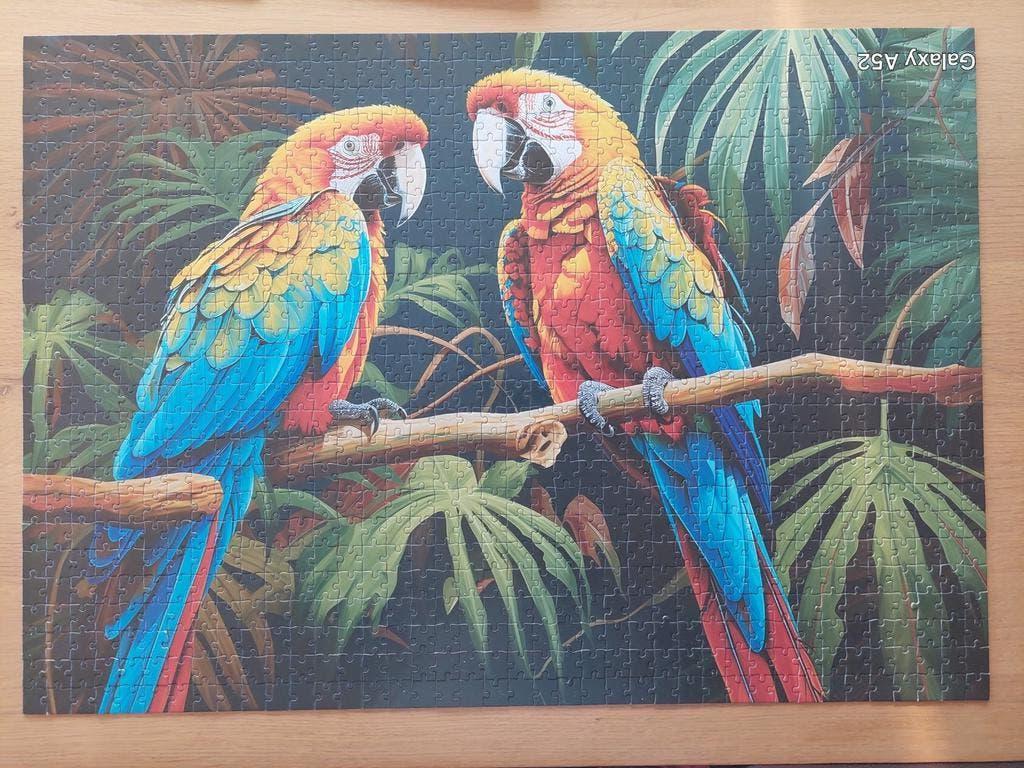 puzzel 1000 st - ara papegaaien, Ophalen of Verzenden, 500 t/m 1500 stukjes, Zo goed als nieuw, Legpuzzel