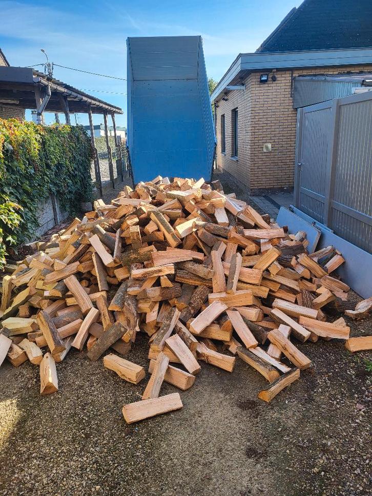 halfdroog en droog brandhout mengeling  eik beuk es, Tuin en Terras, Brandhout, Blokken, Beukenhout, 3 tot 6 m³, Ophalen