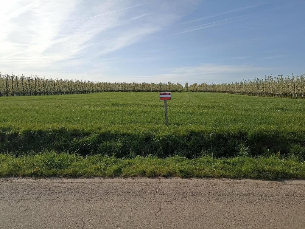 Landbouwgrond, Ophalen, Tot 1 ha, Cultuurgrond