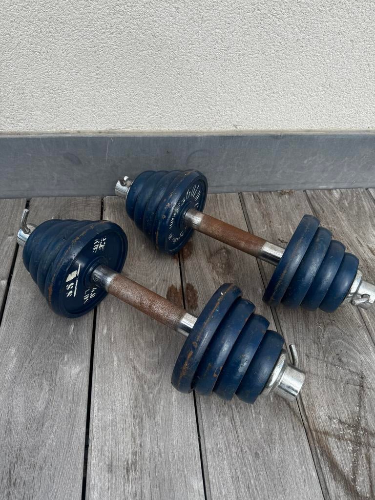 Set dumbbells 13 kg per stuk (2) (bieden), Sports & Fitness, Équipement de fitness, Enlèvement, Utilisé, Haltère