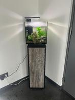 Design Aquarium op kast, Enlèvement, Comme neuf, Aquarium d'eau douce rempli