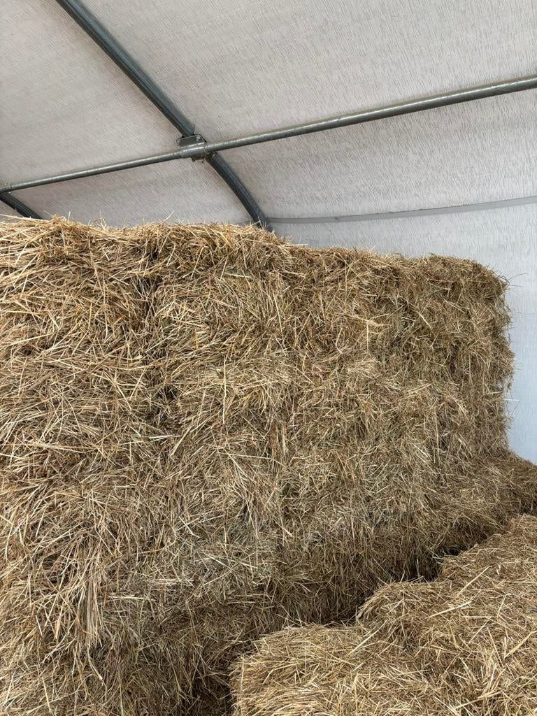 Kleine baaltjes hooi, Enlèvement