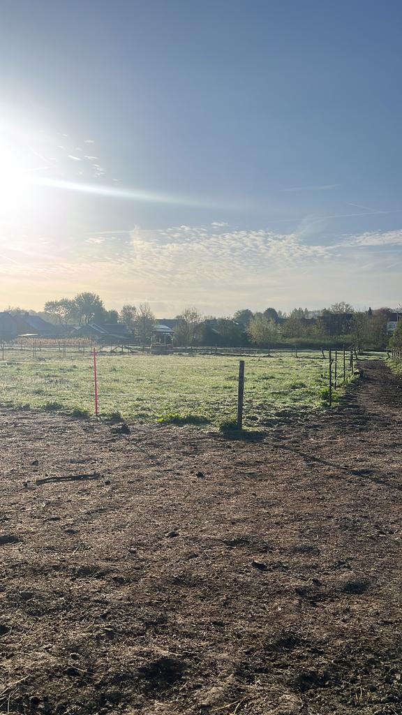 Ronde balen hooi gezocht, Articles professionnels, Agriculture | Aliments pour bétail, Enlèvement