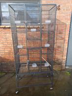 grote vogelkooi met 2 deuren, Ophalen, Zo goed als nieuw, Metaal, Vogelkooi