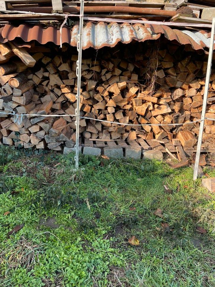 Droog eikenhout, Tuin en Terras, Brandhout, Blokken, Eikenhout, 3 tot 6 m³, Ophalen