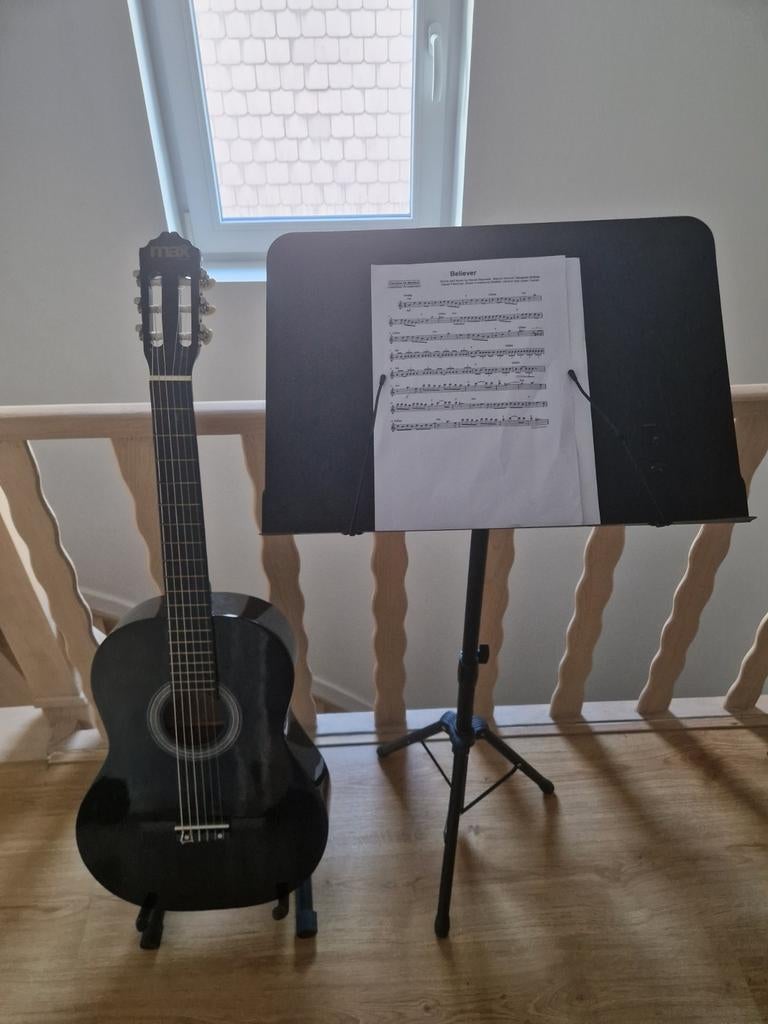 Akoestische Gitaar (groot formaat) van het merk Max Music, Ophalen