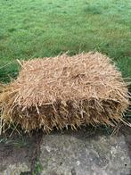 Kleine botten stro, Dieren en Toebehoren