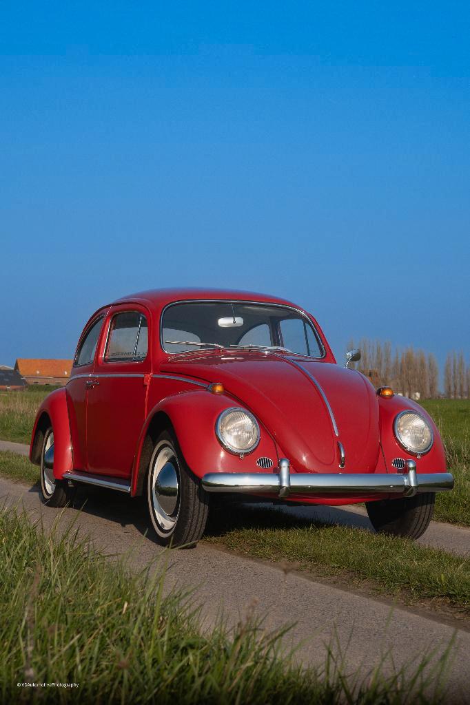 Vw kever 1200 bwj 1964  perfecte staat, gekeurd + garantie, Auto's, Volkswagen, Bedrijf, Te koop, Beetle (Kever), Benzine, Coupé