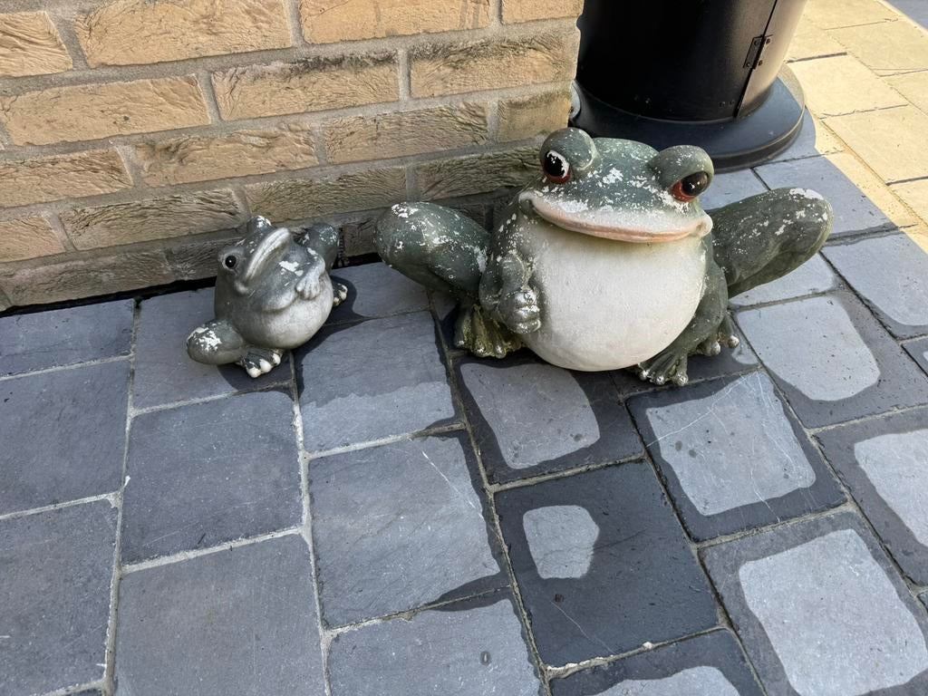 Kikkers, Tuin en Terras, Ophalen, Zo goed als nieuw