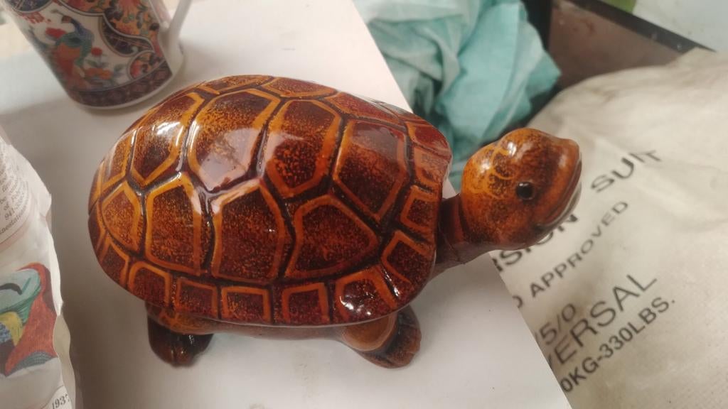 Schilpad met afneembaar schild, Ophalen