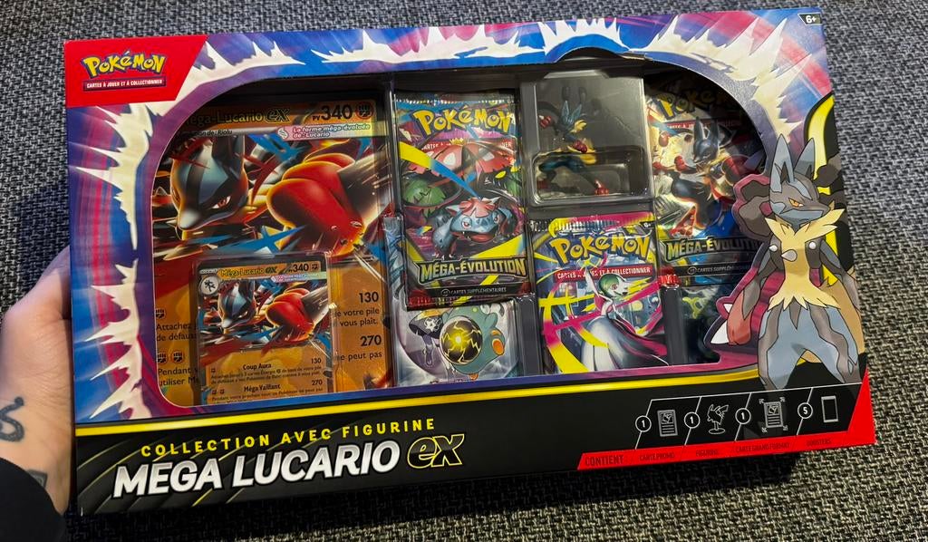 Coffret lucario pokemon, Hobby & Loisirs créatifs, Jeux de cartes à collectionner | Pokémon, Enlèvement, Comme neuf