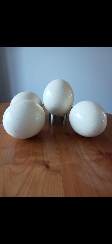 struisvogelei, Verzamelen, Ophalen