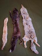 stola vossen, Kleding | Dames, Mutsen, Sjaals en Handschoenen, Ophalen of Verzenden