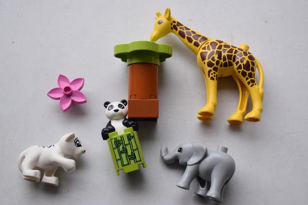 Duplo set dierentuin 10904, Enfants & Bébés, Jouets | Duplo & Lego, Overige thema's, Ensemble complet, Instructions incluses, Enlèvement