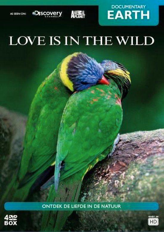 Dvd Box - Love is in the wild ( 4 dvd's ), Cd's en Dvd's, Dvd's | Documentaire en Educatief, Natuur, Ophalen of Verzenden