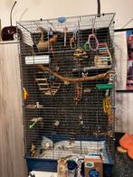 Papegaaien kooi, Dieren en Toebehoren, Ophalen, Zo goed als nieuw, Aluminium, Vogelkooi