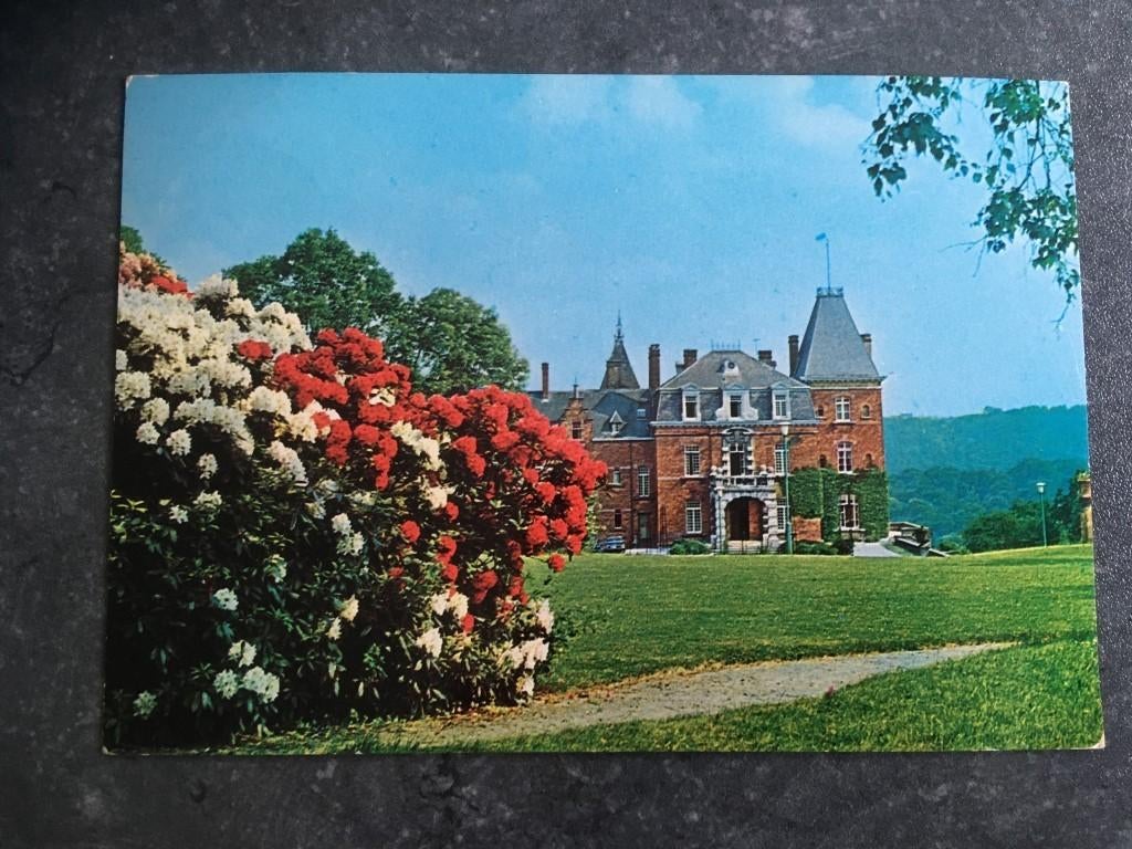 postkaart BSFP vakantiecentrum Ronchinne - Maillen, Ophalen of Verzenden, Namen