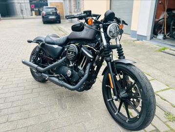 Sportster Iron beschikbaar voor biedingen