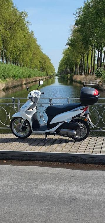 Honda Vision 50cc disponible aux enchères