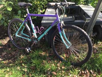 Mountainbike 21 vitessen in rijdende staat : 125 euro beschikbaar voor biedingen