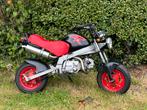 Skyteam pbr 90cc met papieren