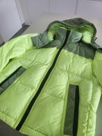 Veste d'hiver BOSS taille 48 ou Medium, Enlèvement ou Envoi, Comme neuf, Taille 48/50 (M)