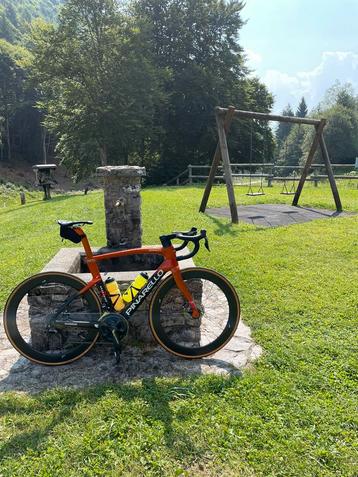 Pinarello Dogma Replica kader beschikbaar voor biedingen