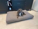 Orthopedisch honden kussen, Dieren en Toebehoren, Ophalen, Zo goed als nieuw