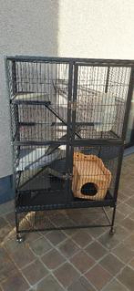 kooi voor knaagdieren, Dieren en Toebehoren, Ophalen, Kooi, Minder dan 75 cm, Zo goed als nieuw