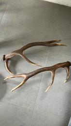 Gewei twee stuks, Huis en Inrichting, Ophalen, Zo goed als nieuw