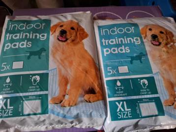 2 dozen vol puppytrainers en extra beschikbaar voor biedingen