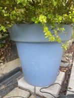 BLOOM heel grote bloempot met licht, Kunststof, 40 cm of meer, Tuin, Rond