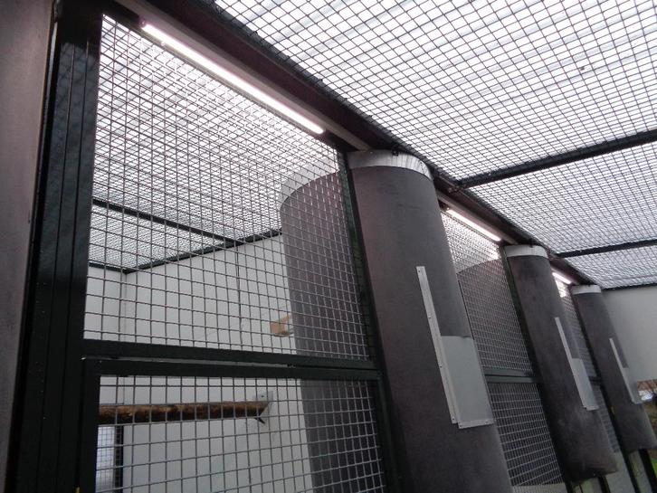 Parkieten, Papegaaien huisvesten; Avicultuur-LED verlichting, Dieren en Toebehoren, Vogels | Parkieten en Papegaaien