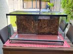 Terarium, Animaux & Accessoires, Reptiles & Amphibiens | Accessoires, Comme neuf, Enlèvement