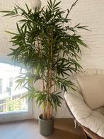 Plante artificielle en bambou avec pot 120€, Enlèvement