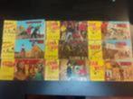 Mini récits de poche : jungle - cow boy - sherif - far west, Boeken, Ophalen of Verzenden, Gelezen