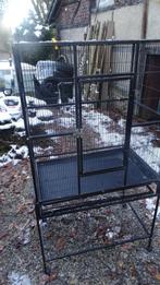 Grande cage oiseaux ou perruches A SAISIR, Animaux & Accessoires, Enlèvement, Utilisé, Métal, Cage à oiseaux