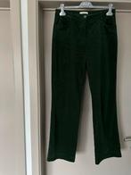 Nieuwe groene ribfluwelen broek Signe Nature, Ophalen, Nieuw, Maat 38/40 (M)