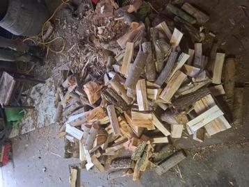 Vers brandhout beschikbaar voor biedingen
