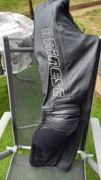 Pantalon de moto dainese Taille 46 S, Pantalon | cuir, Femmes, Dainesse, Seconde main