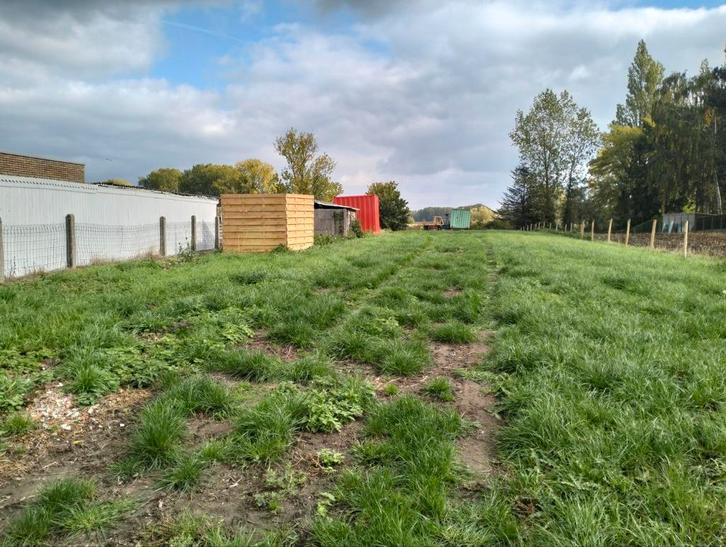 Weide te huur in Oudegem  ,met schuilhok, Dieren en Toebehoren, Stalling en Weidegang