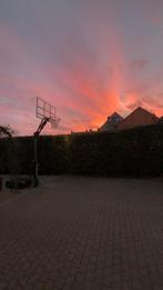 Basketbalring(1000euro), Dieren en Toebehoren, Stalling en Weidegang