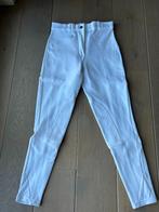 Paardrijbroek wit maat 38/s, Dressuur, Zo goed als nieuw, Dames, Onderkleding
