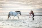 Lessen Natural horsemanship en liberty, Dieren en Toebehoren, Ophalen of Verzenden, Nieuw, Recreatie