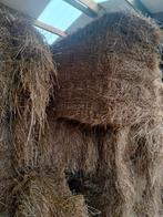 hooi Italiaans raaigras, Ophalen