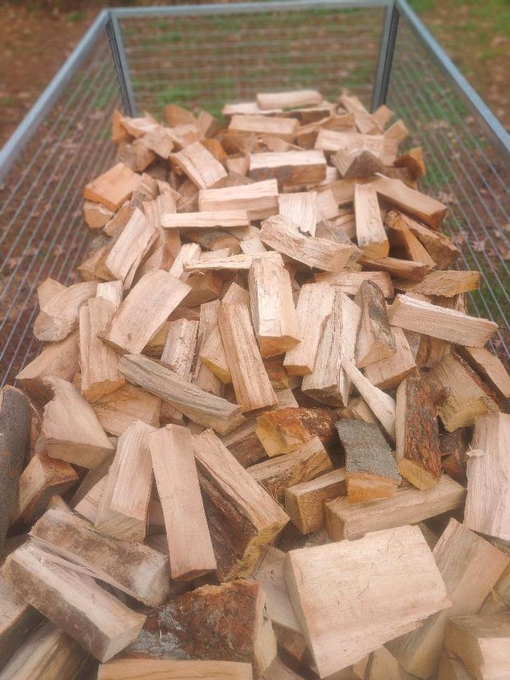 droog brandhout eik/beuk 30 cm - gratis thuis gebracht, Tuin en Terras, Brandhout, Blokken, Eikenhout, 6 m³ of meer, Ophalen