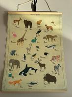 Mooie poster alfabet - dieren, Antiek en Kunst, Antiek | Schoolplaten, Ophalen of Verzenden, Overige thema's
