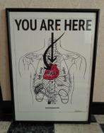 You Are Here anatomie poster in kader - 53x73cm, Ophalen of Verzenden, Zo goed als nieuw